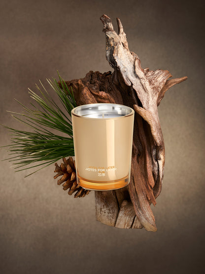 Golden Silkwood Scented Candle